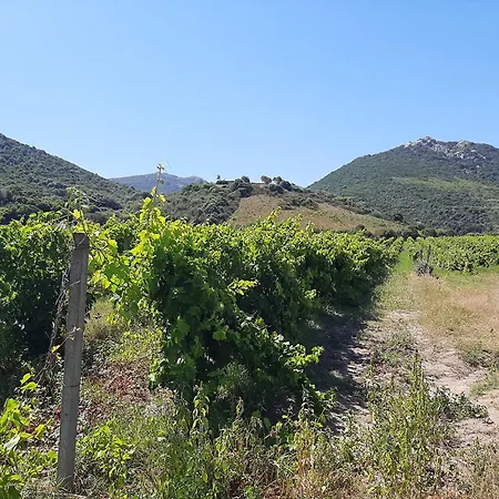 I Tre Vitigni, Cabernet