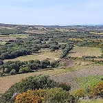 I Tre Vitigni, Cabernet