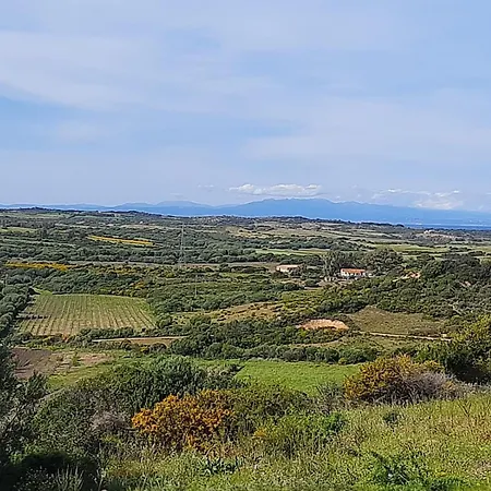 I Tre Vitigni, Cabernet * Trinità dʼAgultu