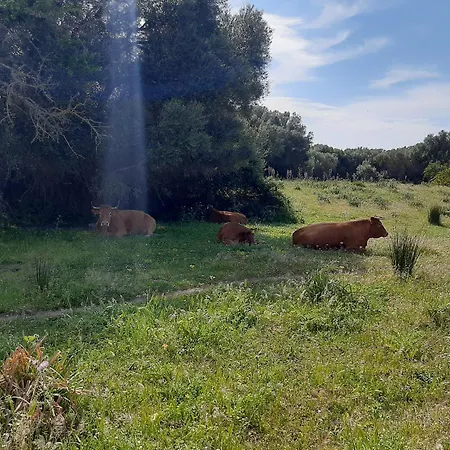 I Tre Vitigni, Cabernet