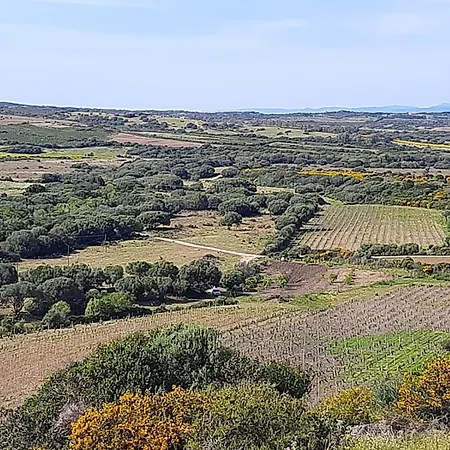I Tre Vitigni, Cabernet